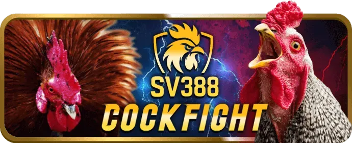 Cá Cược Bóng Rổ Surewin Casino